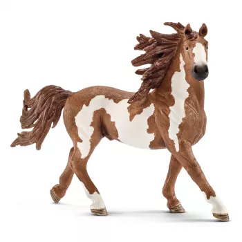 schleich FARM WORLD stallone Pinto, 3 anni, animali della fattoria / giocattolo della fattoria, cavalli, multicolore, plastica, 1 pezzo