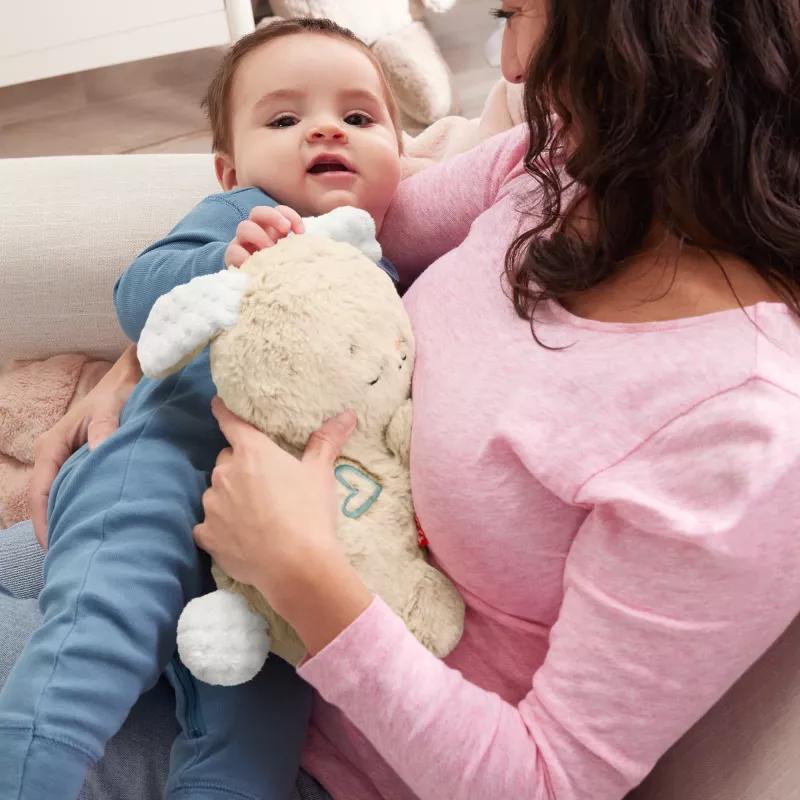 Fisher-Price Soothe & Settle Bunny peluche per neonati e dispositivo sonoro regolabile con movimento