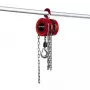 Paranco a catena Einhell TC-CH 1000 1000 kg 2,5 m rosso argento