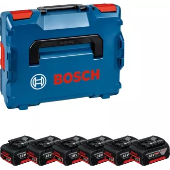 Bosch 1 600 A02 A2S batteria ricaricabile / caricabatterie per utensile senza filo