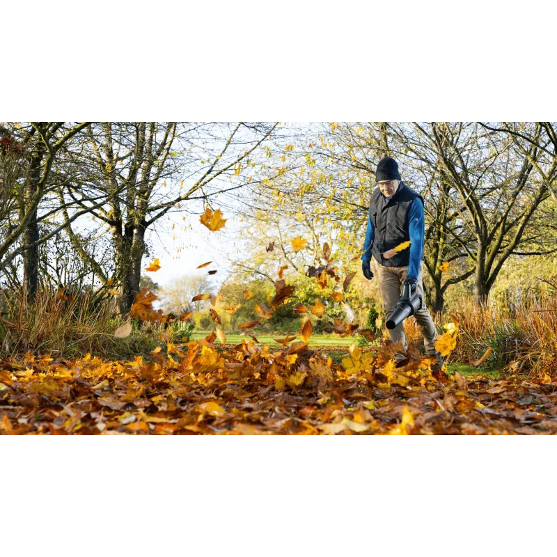 Bosch AdvancedLeafBlower 36V-750 soffiatore a batteria, 36 V, 1x 2,0 Ah, caricabatterie, 750 m³/h, 100-200 km/h, brushless, 3,5 kg, verde/nero