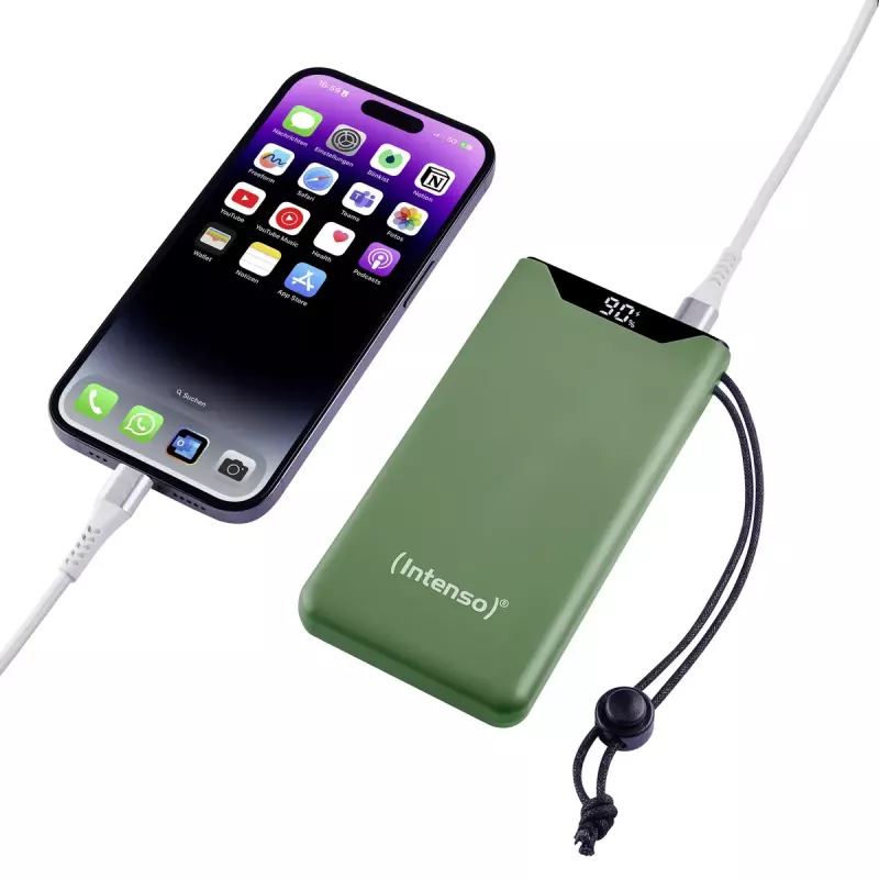 Powerbank portatile Intenso 7332037 10000 mAh