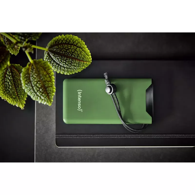 Powerbank portatile Intenso 7332037 10000 mAh