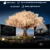 Hisense 85UXNQ TV QLED 4K Ultra HD da 215 cm (85 pollici), 120 Hz, AMD FreeSync, triplo sintonizzatore, nero