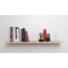 Set ganci a vite e tasselli Fischer 564173 25 pezzi plastica 8 mm