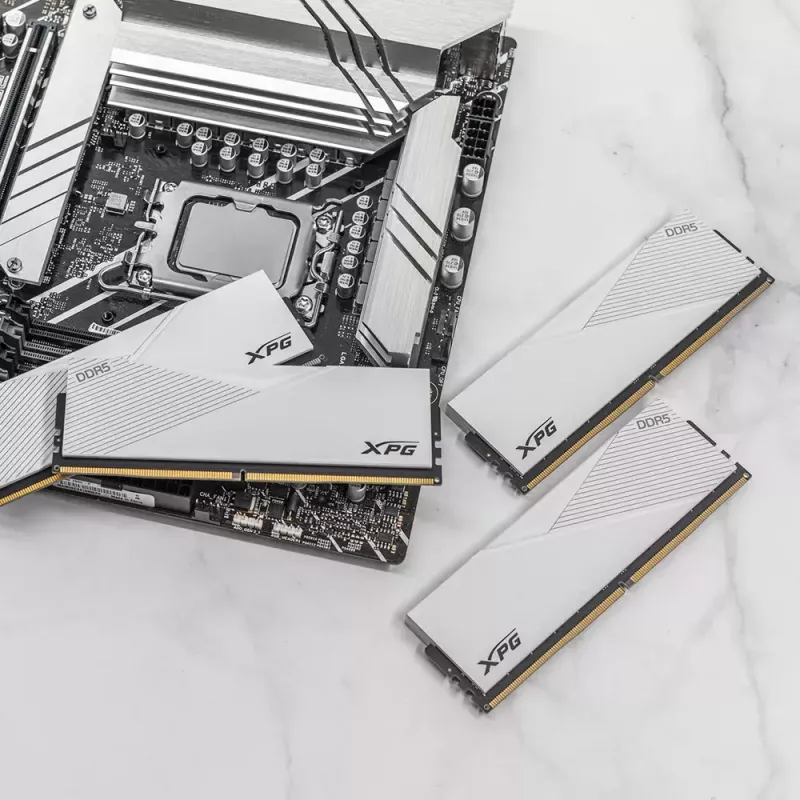 DIMM 16 GB DDR5-6000 , memoria bianco, AX5U6000C3016G-CLAWH, Lancer, INTEL XMP
