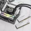 DIMM 64 GB DDR5-6000 (2x 32 GB) Dual-Kit, memoria bianco, AX5U6000C3032G-DCLARWH, Lancer RGB, INTEL XMP