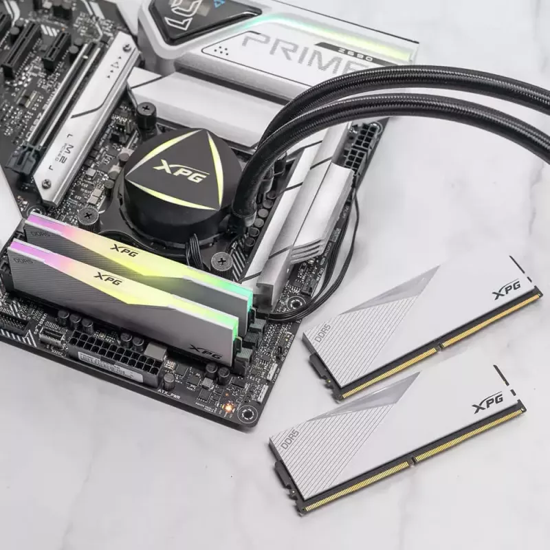 DIMM 64 GB DDR5-6000 (2x 32 GB) Dual-Kit, memoria bianco, AX5U6000C3032G-DCLARWH, Lancer RGB, INTEL XMP