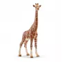 Personaggio, Schleich, WILD LIFE giraffa, femmina