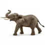 schleich WILD LIFE elefante africano, maschio, 3 anno/i, safari, animali selvatici / giocattolo d'avventura, multicolore, plastica, 1 pezzo
