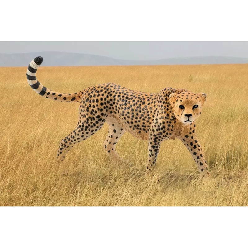 Personaggio Schleich WILD LIFE ghepardo femmina 14746