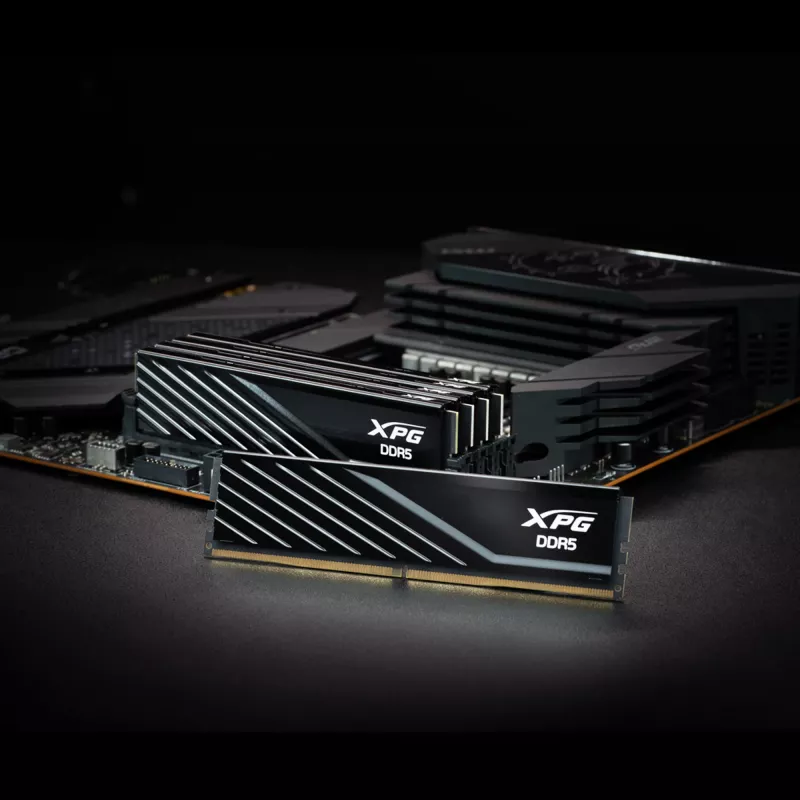 DIMM 32 GB DDR5-5600 (1x 32 GB), memoria RAM nero, AX5U5600C4632G-SLABBK, XPG Lancer Blade, INTEL XMP, AMD EXPO