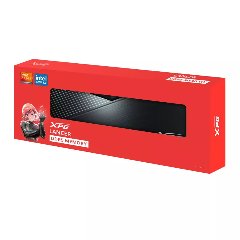 DIMM 16 GB DDR5-6000 (1x 16 GB), memoria RAM nero, AX5U6000C4816G-SLABBK, XPG Lancer Blade, INTEL XMP, AMD EXPO