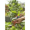 Gardena VeggieCut cesoia da potatura nero verde lame in acciaio inox