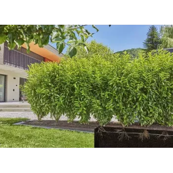 Sistema di irrigazione a goccia Gardena 13500-20