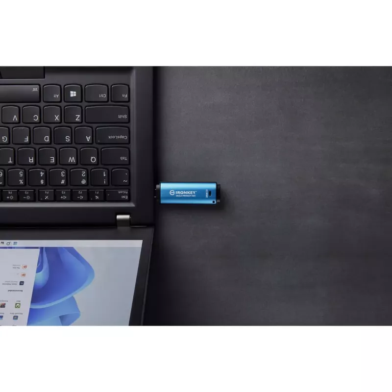 Kingston Technology IronKey 256 GB USB-C Vault Privacy 50C AES-256 crittografata, FIPS 197
