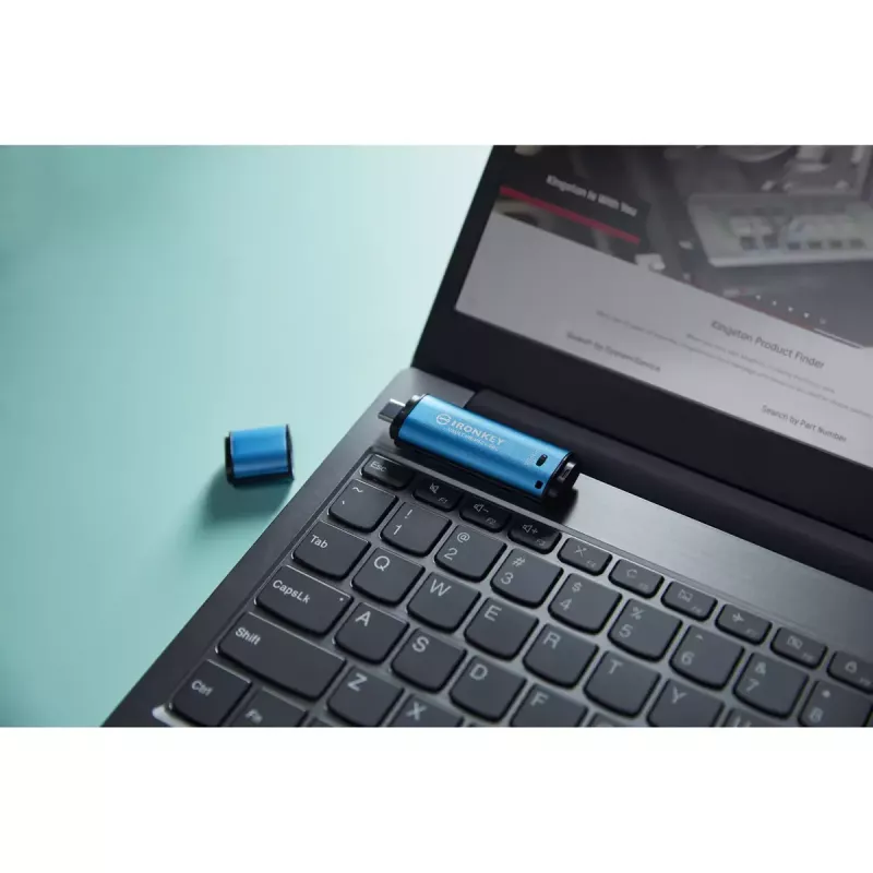Kingston Technology IronKey 256 GB USB-C Vault Privacy 50C AES-256 crittografata, FIPS 197