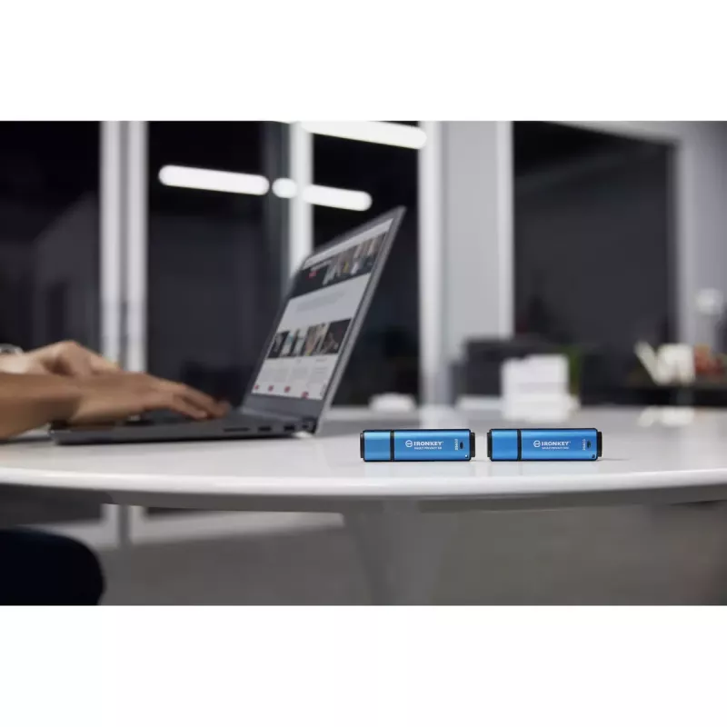 Kingston Technology IronKey 256 GB USB-C Vault Privacy 50C AES-256 crittografata, FIPS 197