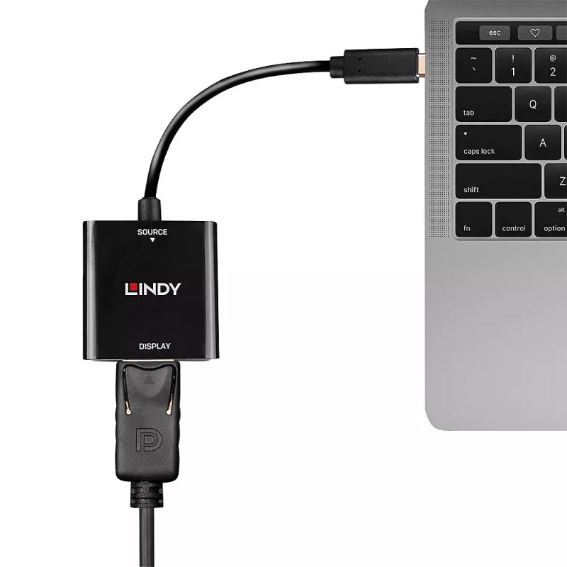 Convertitore Lindy USB Type-C a DisplayPort 4K144, USB Type-C, uscita DisplayPort, 3840 x 2160 pixel