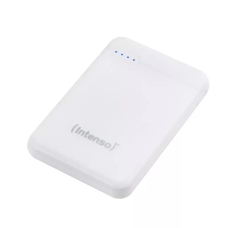 Intenso 7313522 Powerbank litio-polimero 5000 mAh