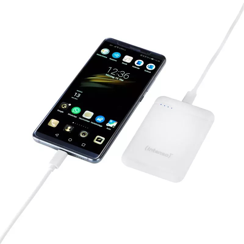 Intenso 7313522 Powerbank litio-polimero 5000 mAh
