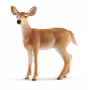 Figura Schleich WILD LIFE cervo dalla coda bianca femmina