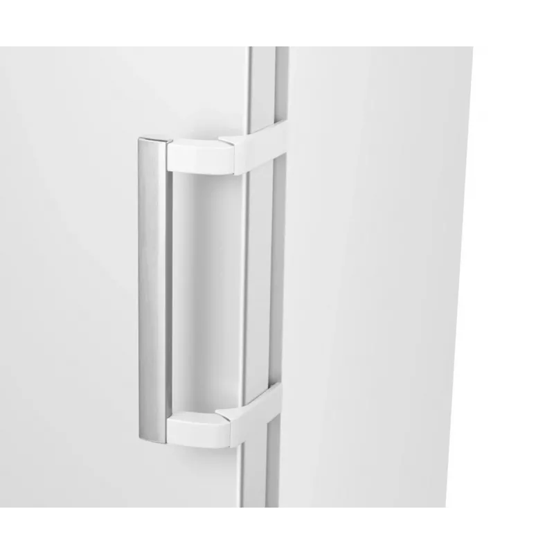 Hisense FV298N4AWC congelatore verticale
