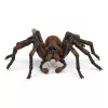 schleich Harry Potter Aragog, 6 anni, creature magiche, nero, marrone, bianco, plastica