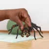 schleich Harry Potter Aragog, 6 anni, creature magiche, nero, marrone, bianco, plastica