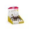 schleich Harry Potter Aragog, 6 anni, creature magiche, nero, marrone, bianco, plastica