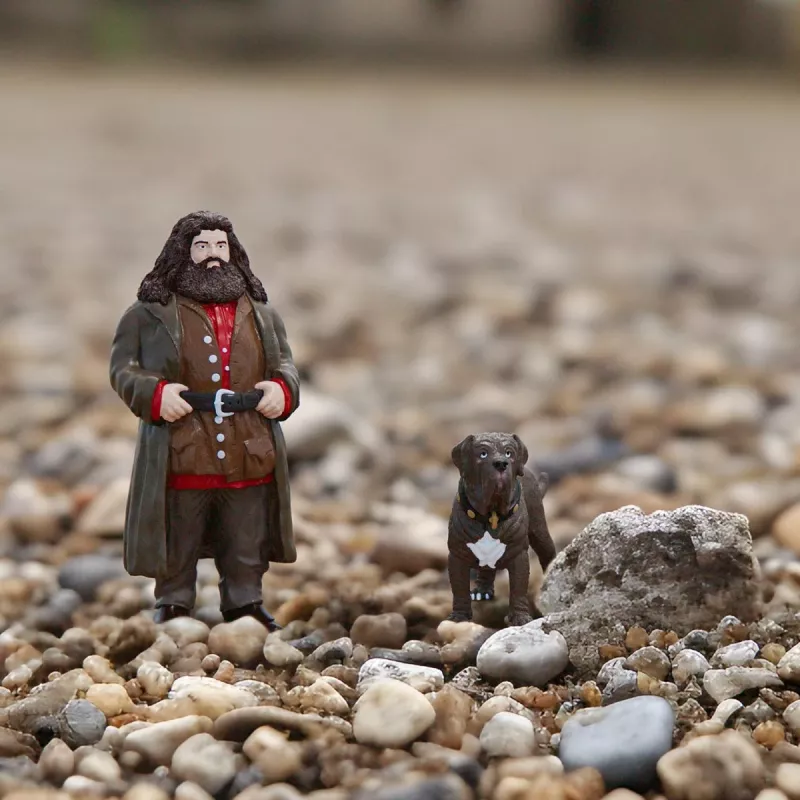 schleich Hagrid & Fang, 6 anni, Harry Potter™, multicolore, plastica