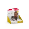 schleich Hagrid & Fang, 6 anni, Harry Potter™, multicolore, plastica