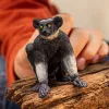 Personaggio Schleich WILD LIFE Indri multicolore 14877S età consigliata 3 anni
