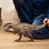 schleich Dinosauro Carcharodontosaurus, 4 anni, conquista della terra, dinosauri e vulcano, multicolore