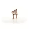 schleich Dinosauro Carcharodontosaurus, 4 anni, conquista della terra, dinosauri e vulcano, multicolore