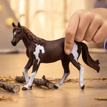 schleich HORSE CLUB Giumenta Paint Horse, 5 anni, cavalli, multicolore