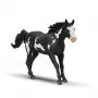 schleich HORSE CLUB Castrone Paint Horse, 5 anni, cavalli, multicolore