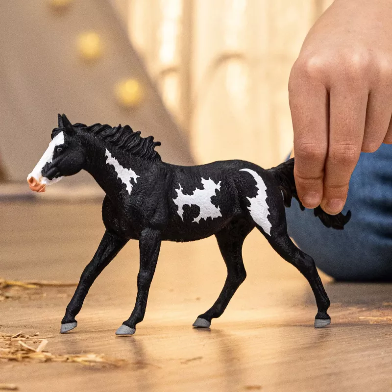 schleich HORSE CLUB Castrone Paint Horse, 5 anni, cavalli, multicolore