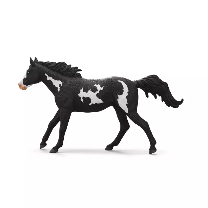 schleich HORSE CLUB Castrone Paint Horse, 5 anni, cavalli, multicolore