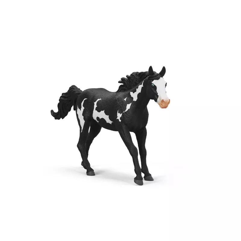 schleich HORSE CLUB Castrone Paint Horse, 5 anni, cavalli, multicolore