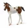 schleich HORSE CLUB Puledro Paint Horse, 5 anni, cavalli, multicolore
