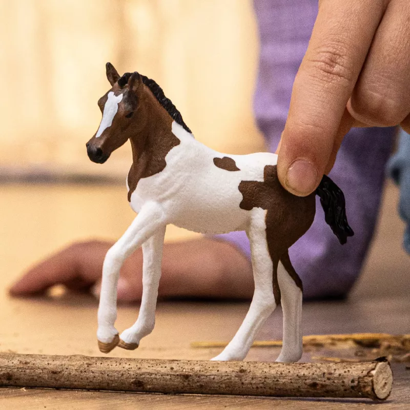 schleich HORSE CLUB Puledro Paint Horse, 5 anni, cavalli, multicolore