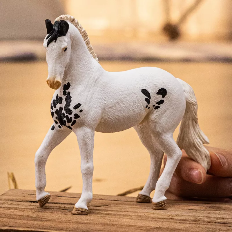 schleich HORSE CLUB Stallone Marwari, 5 anni, cavalli, multicolore