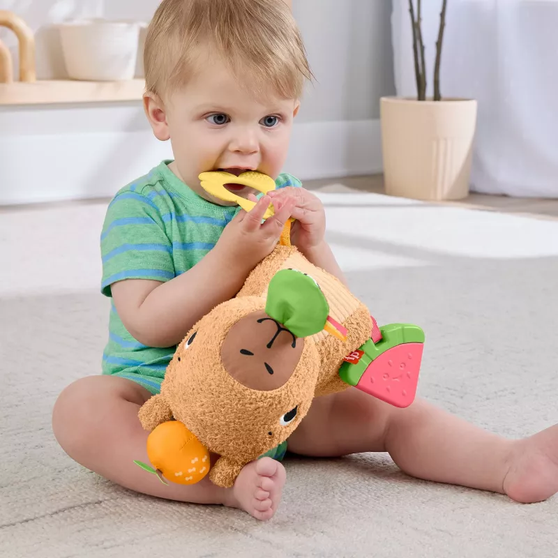 Suino d'acqua giocattolo Fisher-Price Snuggly Snacky Capy 0,5 anni
