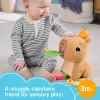 Suino d'acqua giocattolo Fisher-Price Snuggly Snacky Capy 0,5 anni
