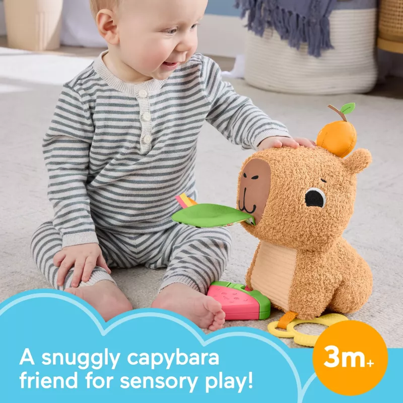 Suino d'acqua giocattolo Fisher-Price Snuggly Snacky Capy 0,5 anni