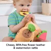 Suino d'acqua giocattolo Fisher-Price Snuggly Snacky Capy 0,5 anni