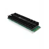 ICY BOX IB-M2HS-701 M.2 2280 SSD dissipatore, passivo, alluminio, PC/PS5, nero