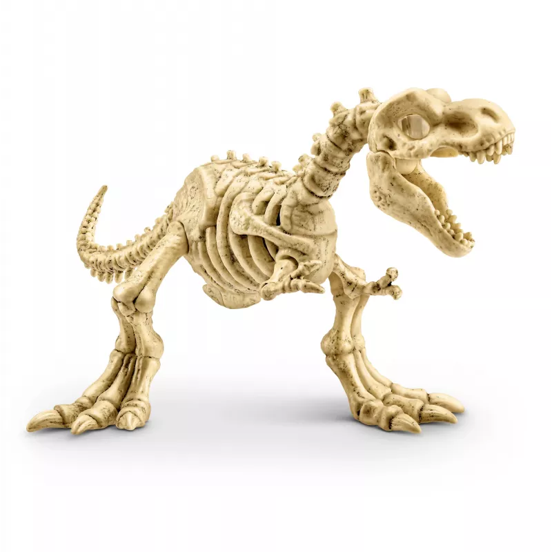 Robo Alive Fossil Find Amber Adventure, 5 anni, color vaniglia, plastica