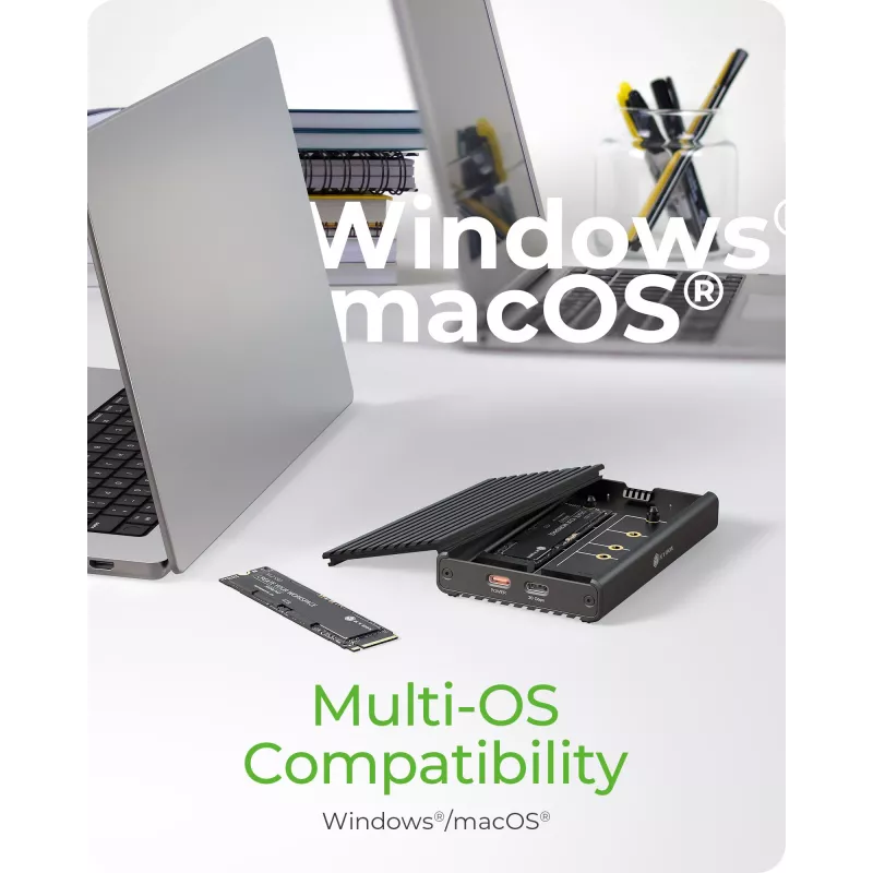 ICY BOX IB-2817M-C32 case per SSD nero M.2